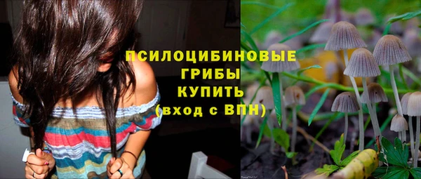 стафф Слюдянка