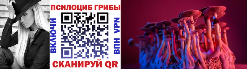 Псилоцибиновые грибы MAGIC MUSHROOMS  даркнет официальный сайт  Кочубеевское 